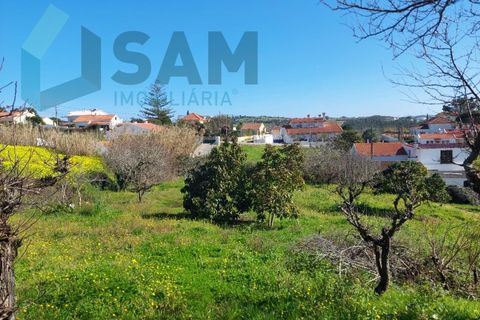Helårsgrund i Carvalhal, Leiria, Carvalhal - € 135.000 | Ref: LH/CS002-25 - foto 4