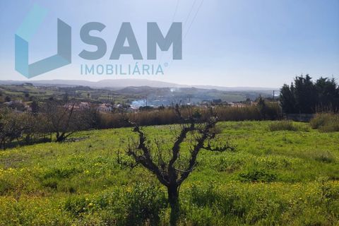 Helårsgrund i Carvalhal, Leiria, Carvalhal - € 135.000 | Ref: LH/CS002-25 - foto 5