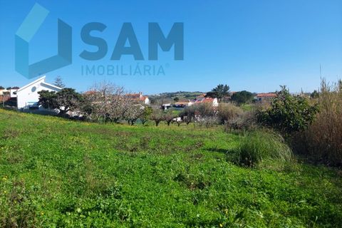 Helårsgrund i Carvalhal, Leiria, Carvalhal - € 135.000 | Ref: LH/CS002-25 - foto 6