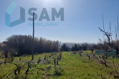 Helårsgrund i Carvalhal, Leiria, Carvalhal - € 135.000 | Ref: LH/CS002-25 - foto 7