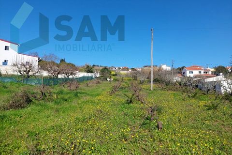 Helårsgrund i Carvalhal, Leiria, Carvalhal - € 135.000 | Ref: LH/CS002-25 - foto 8