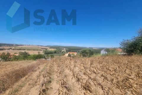 Helårsgrund i Torres Vedras, Lisbon, Torres Vedras - € 58.000 | Ref: LH/AFF010-23 - foto 10