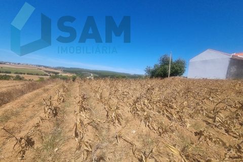 Helårsgrund i Torres Vedras, Lisbon, Torres Vedras - € 58.000 | Ref: LH/AFF010-23 - foto 9