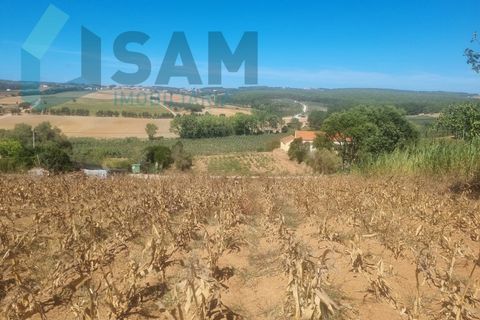 Helårsgrund i Torres Vedras, Lisbon, Torres Vedras - € 58.000 | Ref: LH/AFF010-23 - foto 7