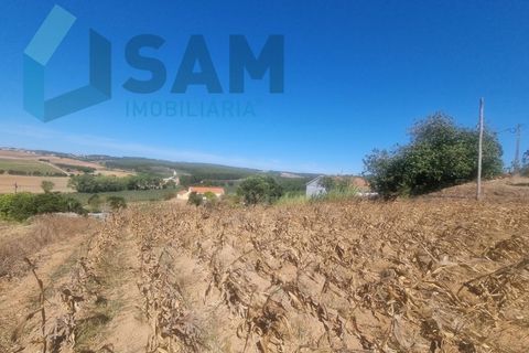 Helårsgrund i Torres Vedras, Lisbon, Torres Vedras - € 58.000 | Ref: LH/AFF010-23 - foto 2