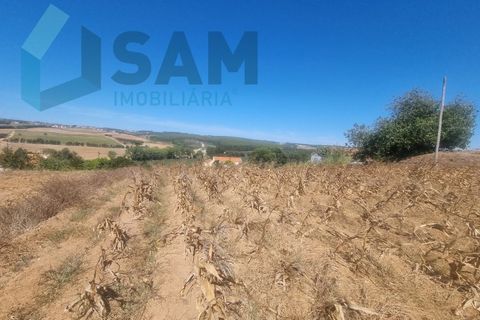 Helårsgrund i Torres Vedras, Lisbon, Torres Vedras - € 58.000 | Ref: LH/AFF010-23 - foto 4