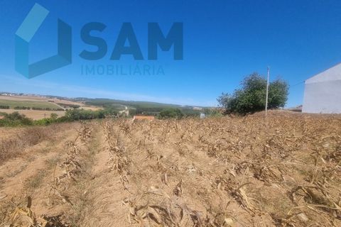 Helårsgrund i Torres Vedras, Lisbon, Torres Vedras - € 58.000 | Ref: LH/AFF010-23 - foto 3