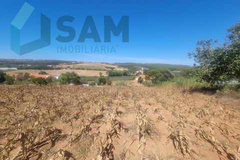 Helårsgrund i Torres Vedras, Lisbon, Torres Vedras - € 58.000 | Ref: LH/AFF010-23 - foto 6