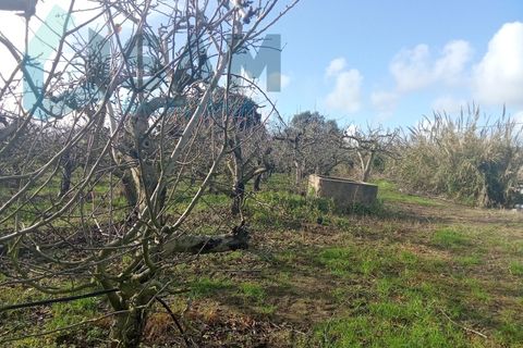 Helårsgrund i Alenquer, Lisbon, Alenquer - € 210.000 | Ref: TV/SM004-25 - foto 4