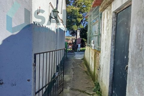 Farm i Matacaes, Lisbon, Matacaes - € 550.000 | Ref: TV/SM003-25 - foto 8