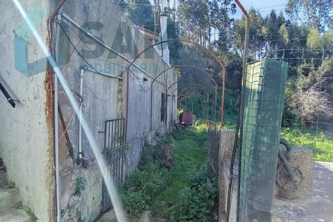 Farm i Matacaes, Lisbon, Matacaes - € 550.000 | Ref: TV/SM003-25 - foto 9