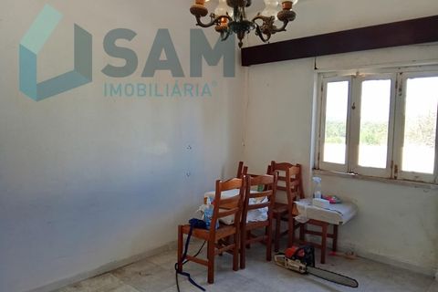 Farm i Matacaes, Lisbon, Matacaes - € 550.000 | Ref: TV/SM003-25 - foto 17