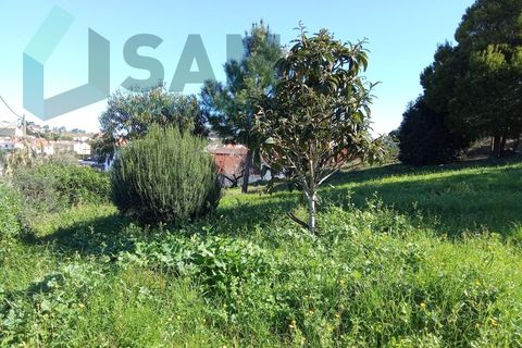 Farm i Matacaes, Lisbon, Matacaes - € 550.000 | Ref: TV/SM003-25 - foto 19