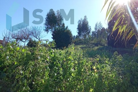 Farm i Matacaes, Lisbon, Matacaes - € 550.000 | Ref: TV/SM003-25 - foto 21