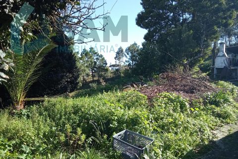 Farm i Matacaes, Lisbon, Matacaes - € 550.000 | Ref: TV/SM003-25 - foto 22