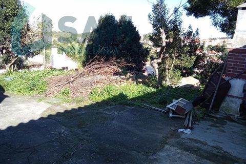 Farm i Matacaes, Lisbon, Matacaes - € 550.000 | Ref: TV/SM003-25 - foto 23
