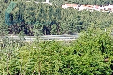 Farm i Matacaes, Lisbon, Matacaes - € 550.000 | Ref: TV/SM003-25 - foto 24