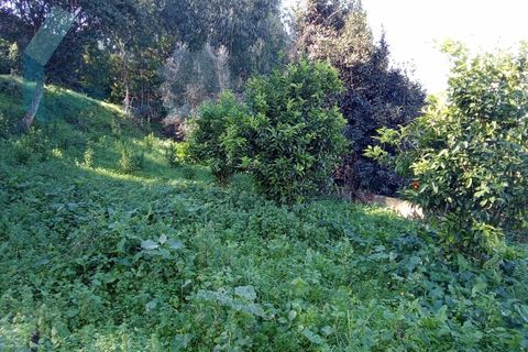 Farm i Matacaes, Lisbon, Matacaes - € 550.000 | Ref: TV/SM003-25 - foto 26