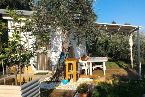 Villa a Pietrasanta, Lucca, Pietrasanta - € 195.000 | Ref: 1171 - foto 3