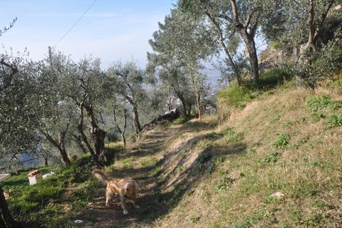 Villa a Pietrasanta, Lucca, Pietrasanta - € 195.000 | Ref: 1171 - foto 6