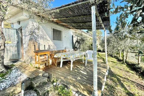 Villa a Pietrasanta, Lucca, Pietrasanta - € 195.000 | Ref: 1171 - foto 8