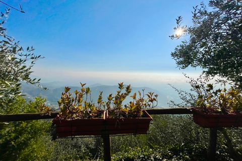 Villa a Pietrasanta, Lucca, Pietrasanta - € 195.000 | Ref: 1171 - foto 10