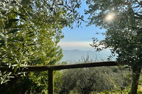 Villa a Pietrasanta, Lucca, Pietrasanta - € 195.000 | Ref: 1171 - foto 14