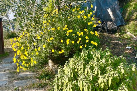 Villa a Pietrasanta, Lucca, Pietrasanta - € 195.000 | Ref: 1171 - foto 15