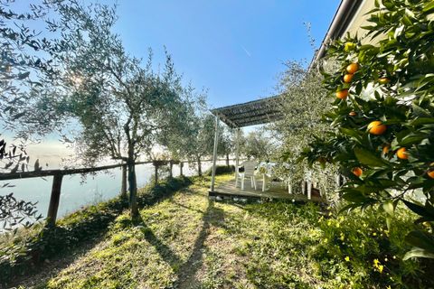 Villa a Pietrasanta, Lucca, Pietrasanta - € 195.000 | Ref: 1171 - foto 45