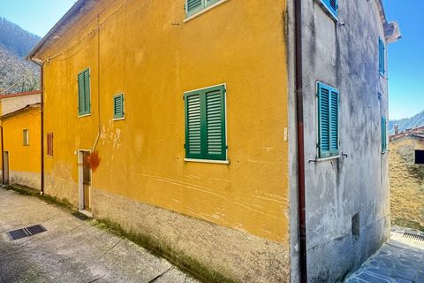 Byhus i Seravezza, Lucca, Seravezza - € 100.000 | Ref: 2369 - foto 12