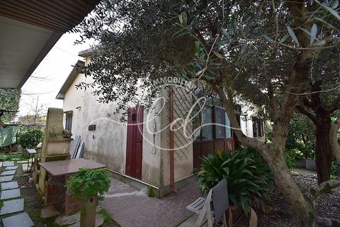 Villa i Pietrasanta, Lucca, Pietrasanta - € 350.000 | Ref: 2379 - foto 2