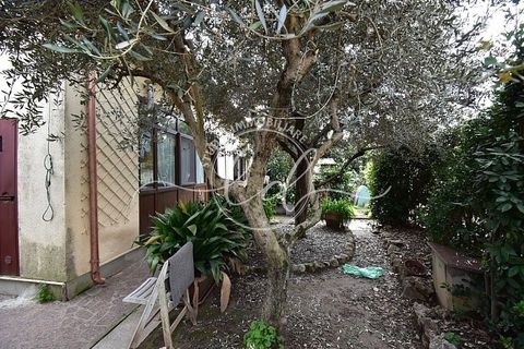 Villa i Pietrasanta, Lucca, Pietrasanta - € 350.000 | Ref: 2379 - foto 4