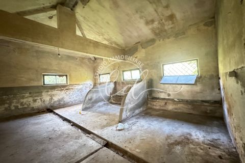 Villa i Pietrasanta, Lucca, Pietrasanta - € 800.000 | Ref: 2307 - foto 16