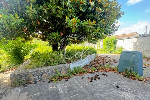 Byhus i Pietrasanta, Lucca, Pietrasanta - € 480.000 | Ref: 2230 - foto 5