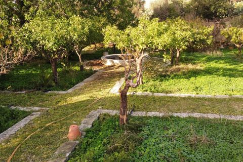 Villa i Modica, Ragusa, Modica - € 700.000 | Ref: 11545 - foto 29