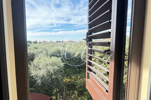 Villa a Seravezza, Lucca, Seravezza - € 3.000/mes | Ref: 2313 - foto 38