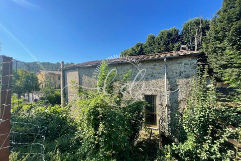 Villa i Camaiore, Lucca, Camaiore - € 125.000 | Ref: 2253 - foto 2