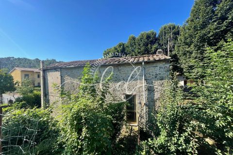 Villa i Camaiore, Lucca, Camaiore - € 125.000 | Ref: 2253 - foto 4
