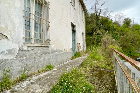 Villa i Pietrasanta, Lucca, Pietrasanta - € 150.000 | Ref: 1817 - foto 2