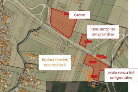 Terra a Legnago, Verona, Legnago - € 253.395 | Ref: GB00000000 - foto 2