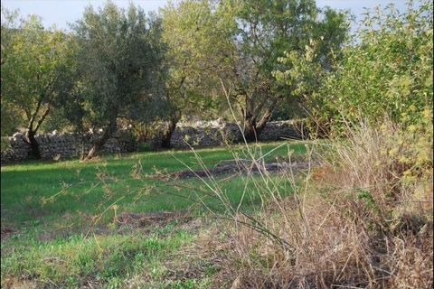 Lejlighed i Modica, Ragusa, Modica - € 127.000 | Ref: 11482 - foto 6