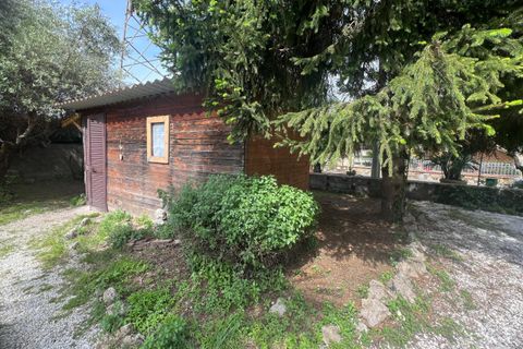 Byhus i Seravezza, Lucca, Seravezza - € 20.000/måned | Ref: 2167 - foto 18