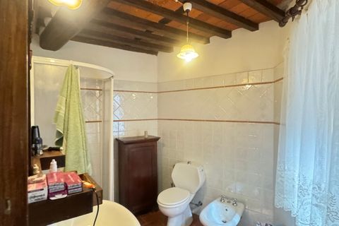 Byhus i Camaiore, Lucca, Camaiore - € 150.000 | Ref: 2168 - foto 19