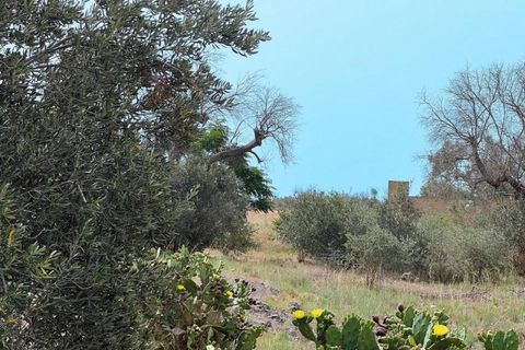 Terra a Matino, Lecce, Matino - € 120.000 | Ref: MD-150-TER - foto 2