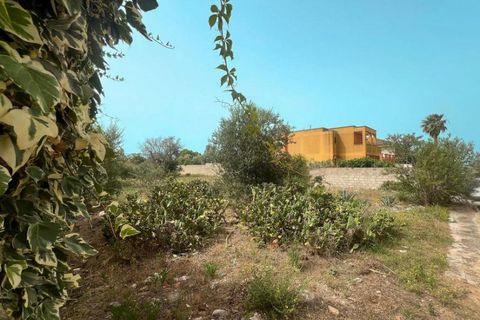 Terra a Matino, Lecce, Matino - € 120.000 | Ref: MD-150-TER - foto 3