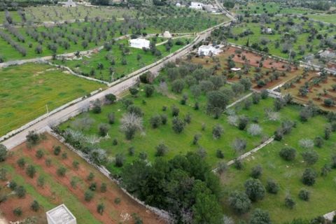Terra a Salve, Lecce, Salve - € 80.000 | Ref: SALVEA-95 TER - foto 2
