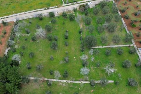 Terra a Salve, Lecce, Salve - € 80.000 | Ref: SALVEA-95 TER - foto 3