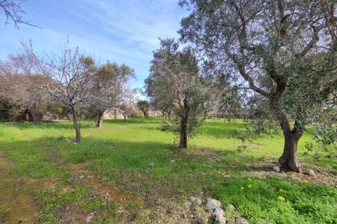 Terra a Salve, Lecce, Salve - € 80.000 | Ref: SALVEA-95 TER - foto 6