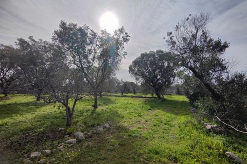 Terra a Salve, Lecce, Salve - € 80.000 | Ref: SALVEA-95 TER - foto 7
