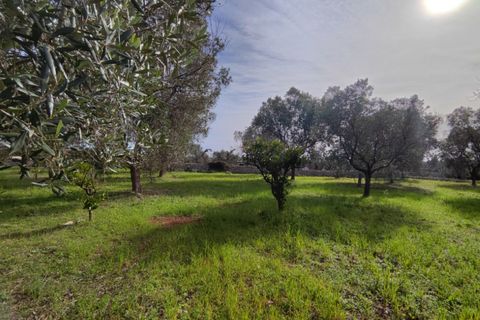 Terra a Salve, Lecce, Salve - € 80.000 | Ref: SALVEA-95 TER - foto 8